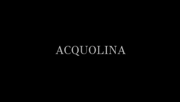 www-acquolinaristorante-it.webp