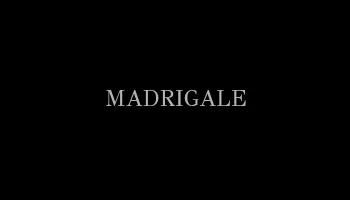 www-almadrigale-it.webp