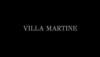 www-villamartineportocervo-com.webp